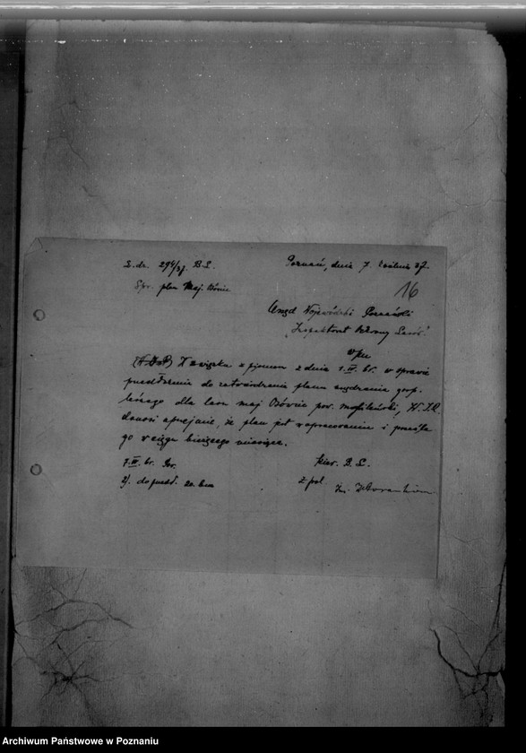 Obraz 20 z jednostki "/Majętność leśna/ Ossowiec/ powiat mogileński"