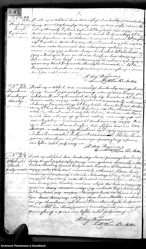 Obraz 13 z jednostki "D.L. P. Metel 1858"