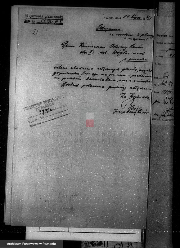 Obraz 7 z jednostki "Majętność leśna w Sarbii w powiecie czarnkowskim"