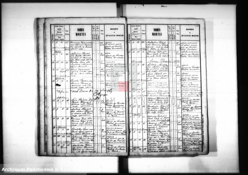 image.from.unit.number "Księga zgonów - Borek Nowy"