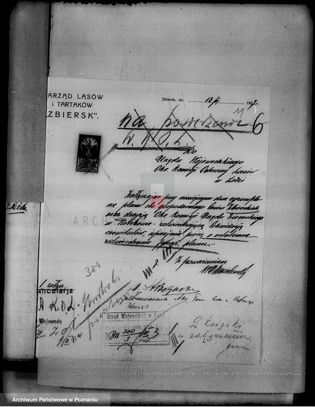 Obraz 15 z jednostki "Lustracja lasu majątku Zbiersk i Petryki powiatu kaliskiego oraz zatwierdzenie uzupełnienia planu gospodarstwa leśnego"