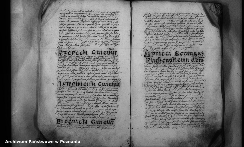 Obraz 12 z jednostki "Inscriptiones [inducta]"