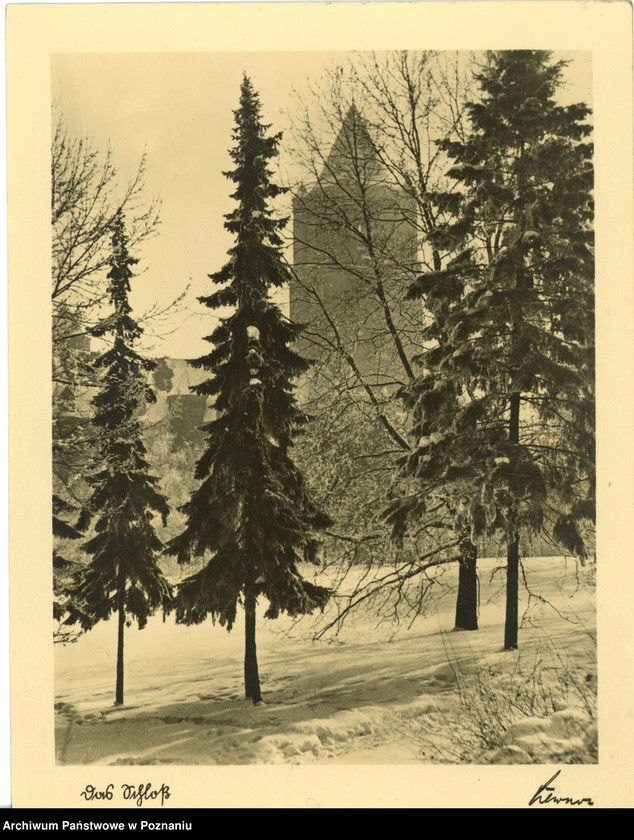 Obraz 1 z jednostki "Posen [Poznań] - Das Schloss [Zamek]"