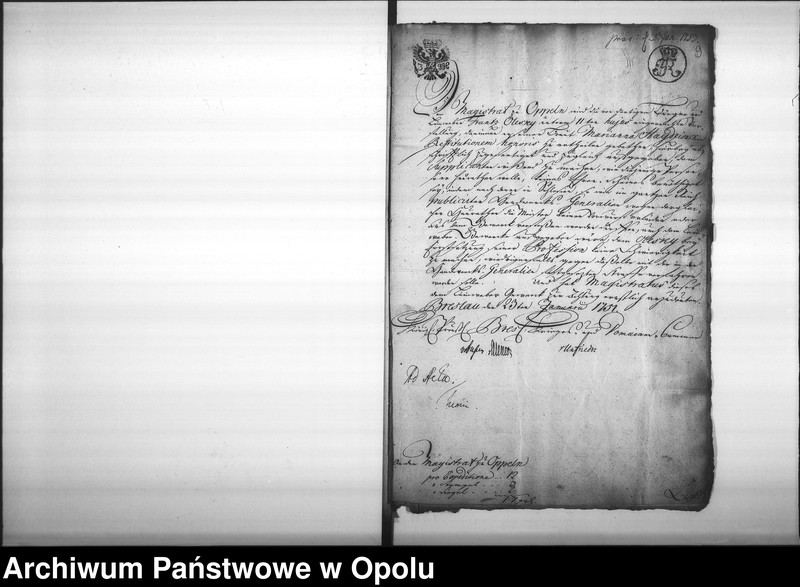 Obraz 12 z jednostki "Acta des Magistrats zu Oppeln betreffend die Legitimation unehelich erzeugter Kinder und Personen Vol. I"