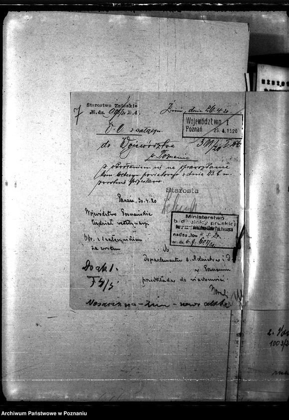 Obraz 11 z jednostki "Nosacizna - Żnin"