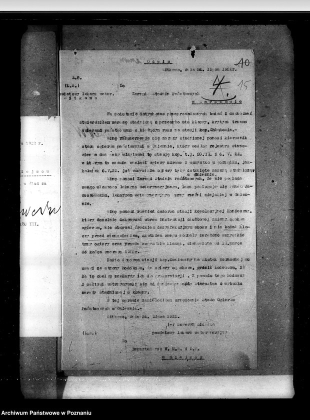 Obraz 20 z jednostki "Zaraza stadnicza"