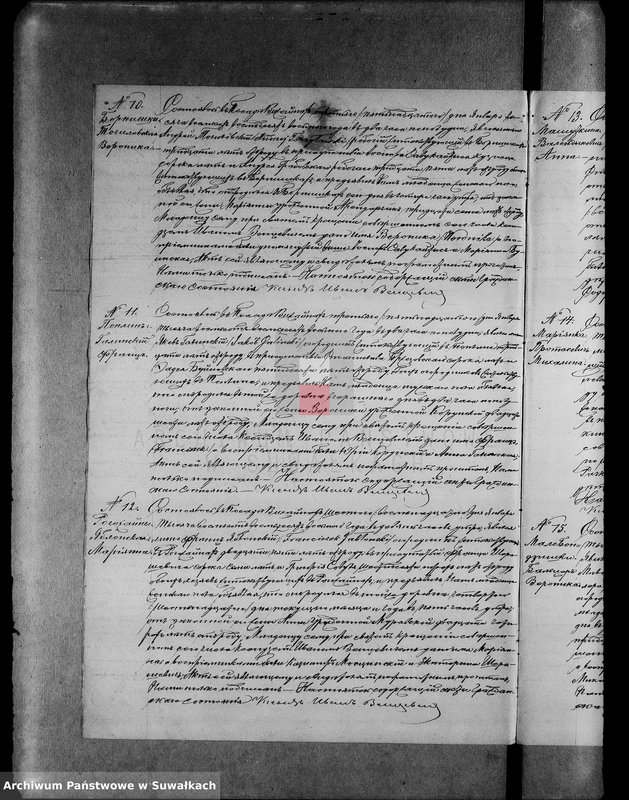 Obraz 8 z jednostki "Duplikat aktov graždanskogo sostojanija vižajnskogo prichoda suvalskogo uezda o roždenii, brakosočetanii i smerti na 1888 god"