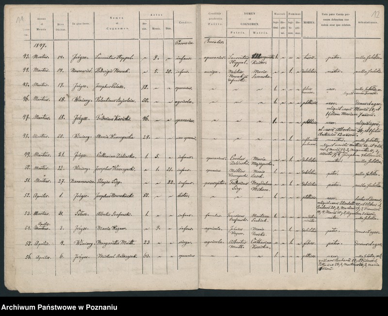 Obraz 8 z jednostki "Księga zgonów"