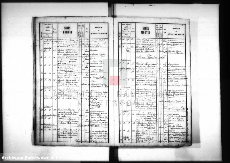 image.from.unit.number "Księga zgonów - Borek Nowy"