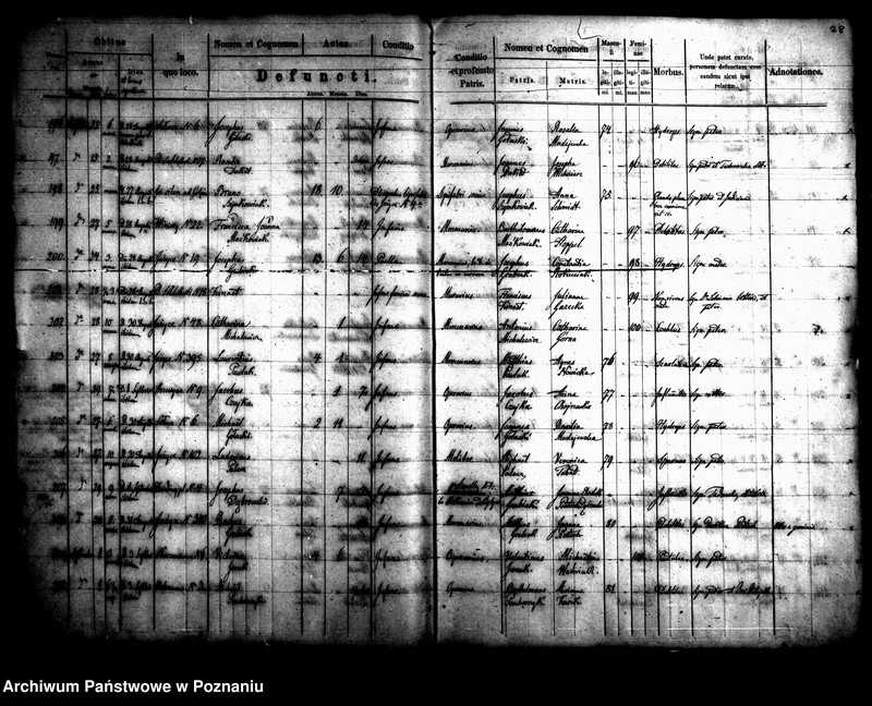 Obraz 16 z jednostki "Księga zgonów"