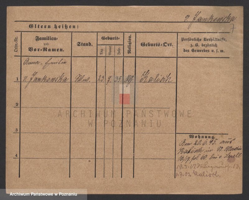 Obraz 7 z jednostki "Jankowski (wdowy i samotni mężczyźni)"