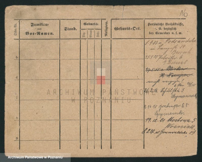 Obraz 16 z jednostki "Lewandowski (żonaci i wdowy)"