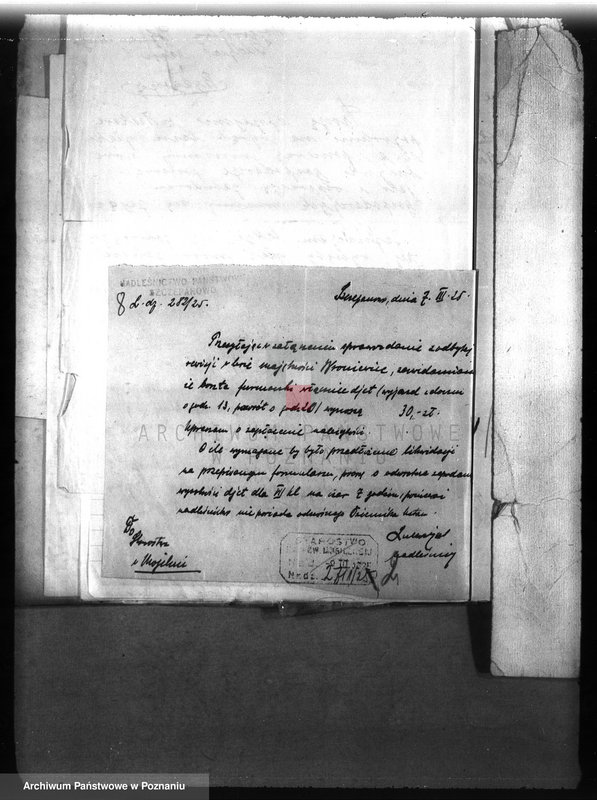 Obraz 12 z jednostki "Majętność leśna /Bronie wiec/ powiat mogileński"