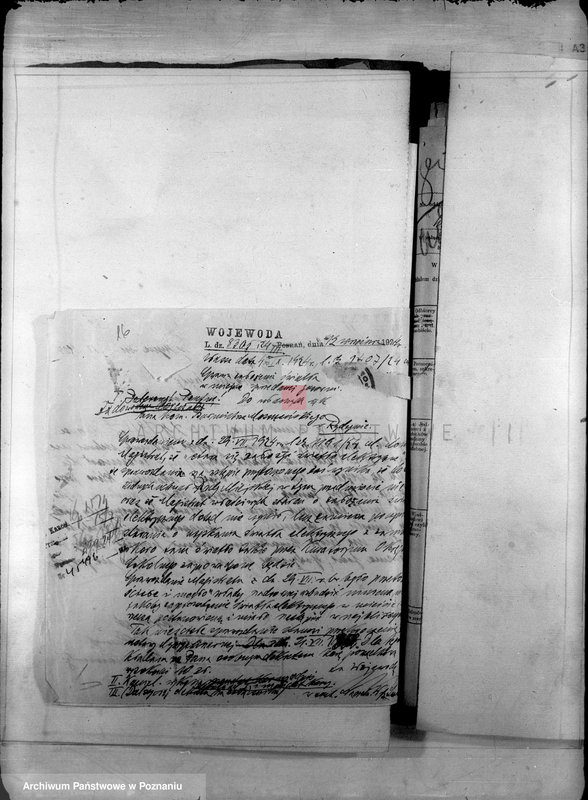 Obraz 19 z jednostki "Administracja miasta Rydzyny"