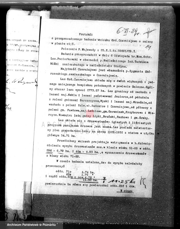 Obraz 18 z jednostki "Nadzór nad gospodarką w lasach majątku Czerniejewo powiecie gnieźnieńskim"