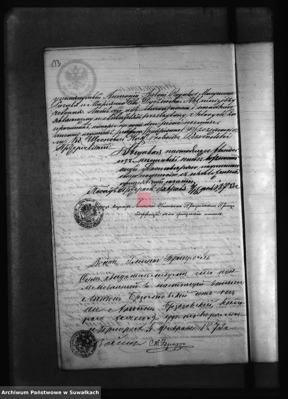 Obraz 17 z jednostki "Kniga s dokumentami Filipovskago Rimsko Katoličeskago Prichoda v 1873 godu"