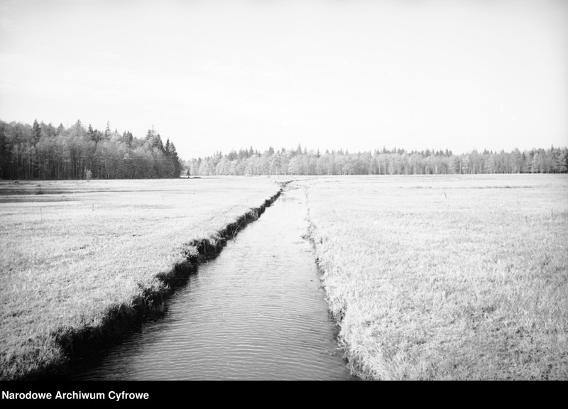 image.from.unit.number "Białowieża"
