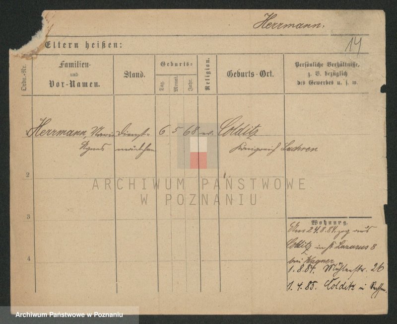 Obraz 14 z jednostki "Herman - Hermyła"