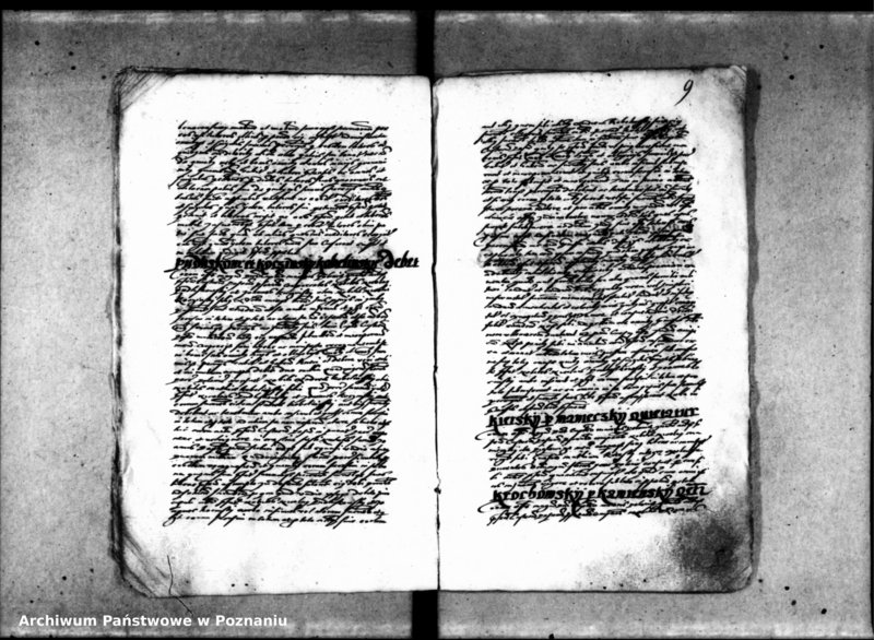 Obraz 14 z jednostki "Inscriptiones [inducta]"