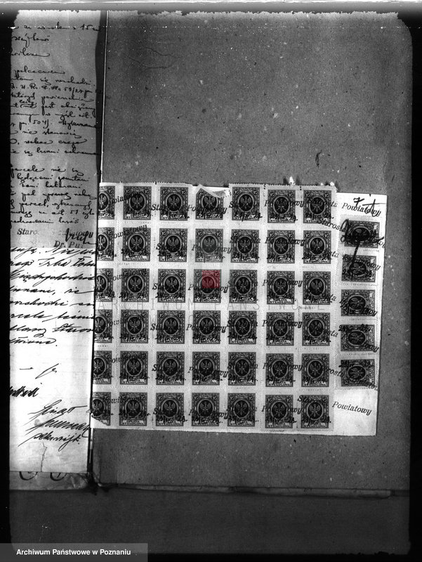 Obraz 11 z jednostki "Majętność leśna Niemierzewo w powiecie międzychodzkim"