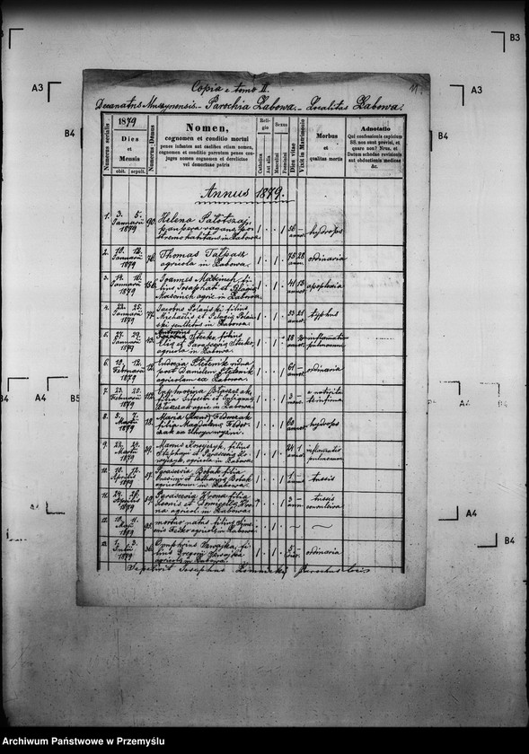 Obraz 15 z jednostki "[Kopie ksiąg metrykalnych parafii Łabowa z filiami Kotów, Łabowiec, Uhryń Niżny (dekanat Muszyna)]"
