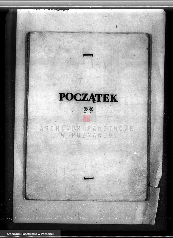 Obraz 3 z jednostki "Gmina Szyminowice powiat koniński /nadzór nad gospodarką leśną/"