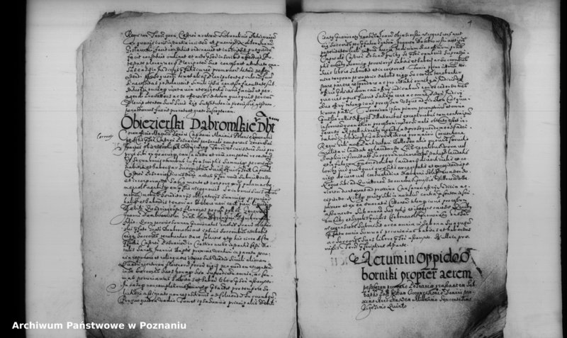 Obraz 8 z jednostki "Inscriptiones [inducta]"