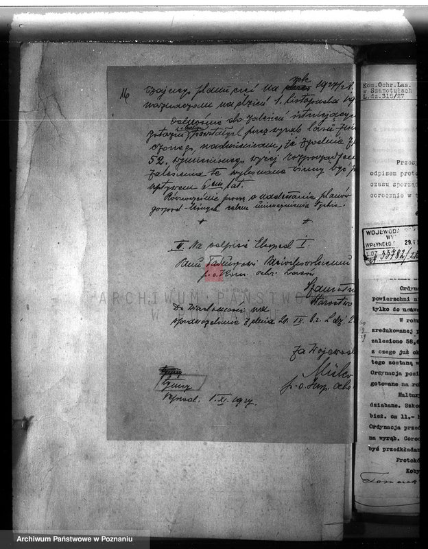 Obraz 20 z jednostki "Majętność leśna w Kwilczu w powiecie międzychodzkim"