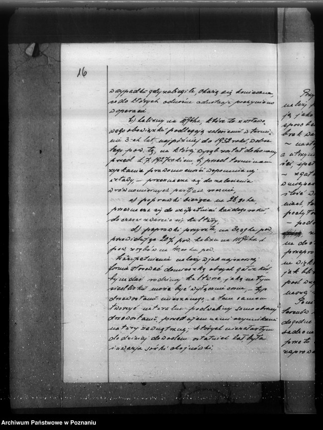 Obraz 20 z jednostki "Plan gospodarczy lasów majątku Stefanowo w powiecie nowotomyskim"