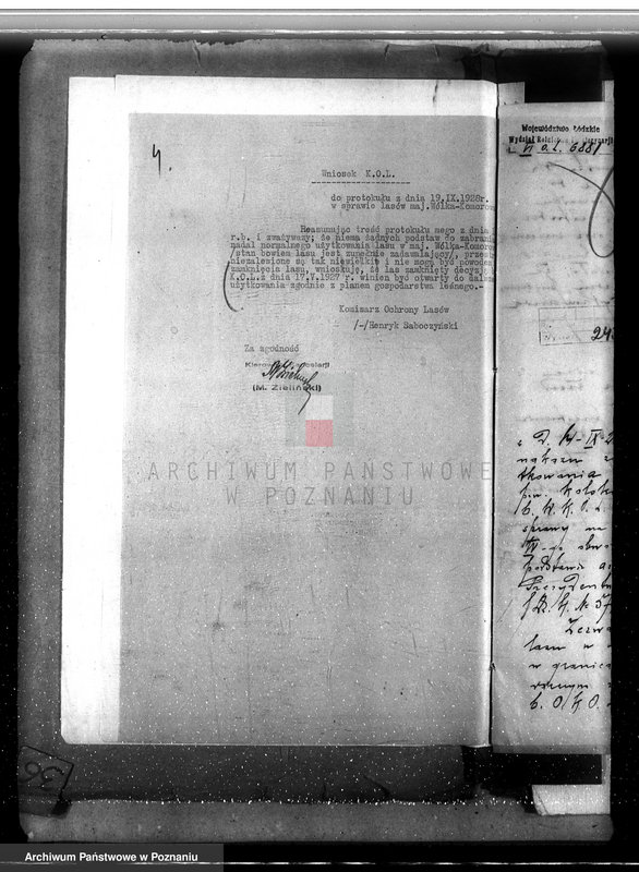 Obraz 8 z jednostki "Sprawa zniesienia nakazu zabraniającego prowadzenia użytkowania lasu w majątku Wólka-Komorowska powiat kolski gmina Izbica"