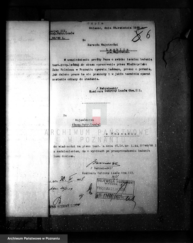 image.from.unit.number "Majętność leśna Lechlin powiat wągrowiecki"