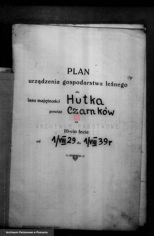 Obraz 18 z jednostki "/Nadzór nad gospodarką leśną w majętności Hutka w powiecie czarnkowskim"