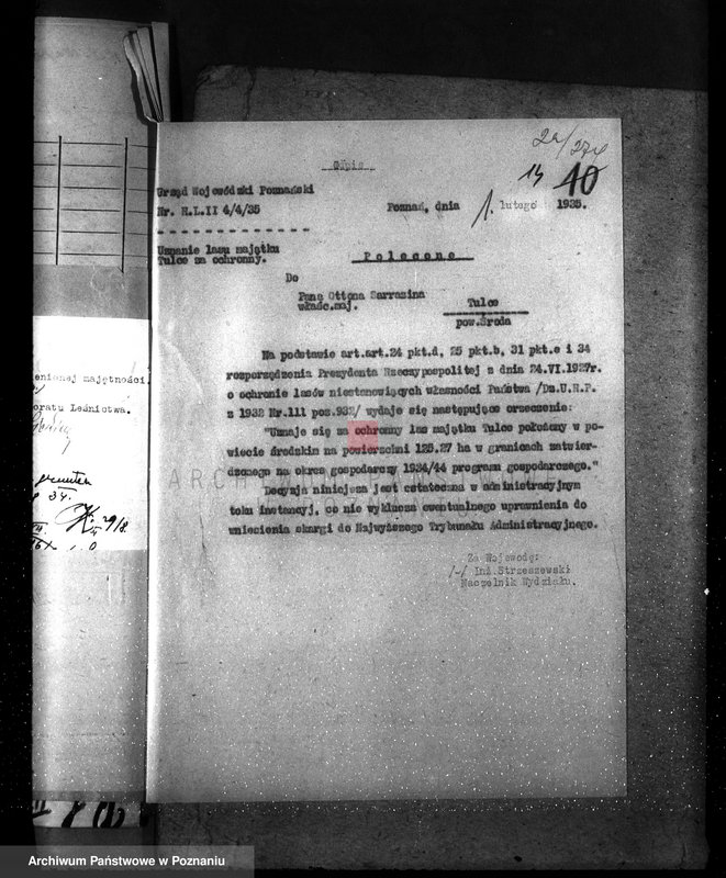 Obraz 18 z jednostki "Nadzór nad gospodarką w lasach majętności Tulce powiat średzki"