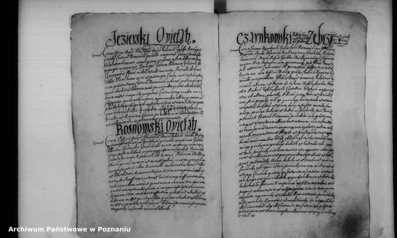 Obraz 10 z jednostki "Inscriptiones [inducta]"