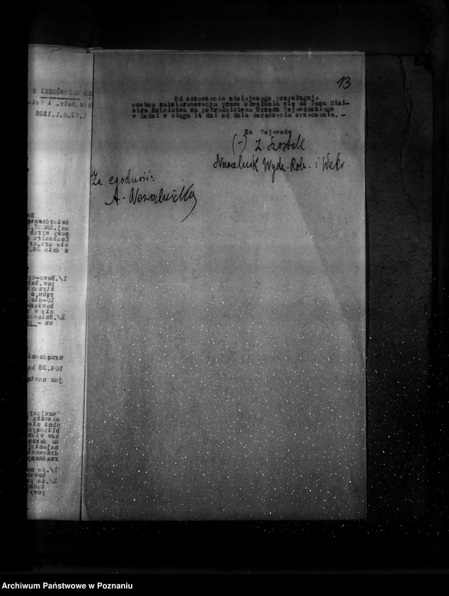 Obraz 17 z jednostki "Zatwierdzenie planu gospodarstwa leśnego dla majątku Brody powiatu tureckiego"