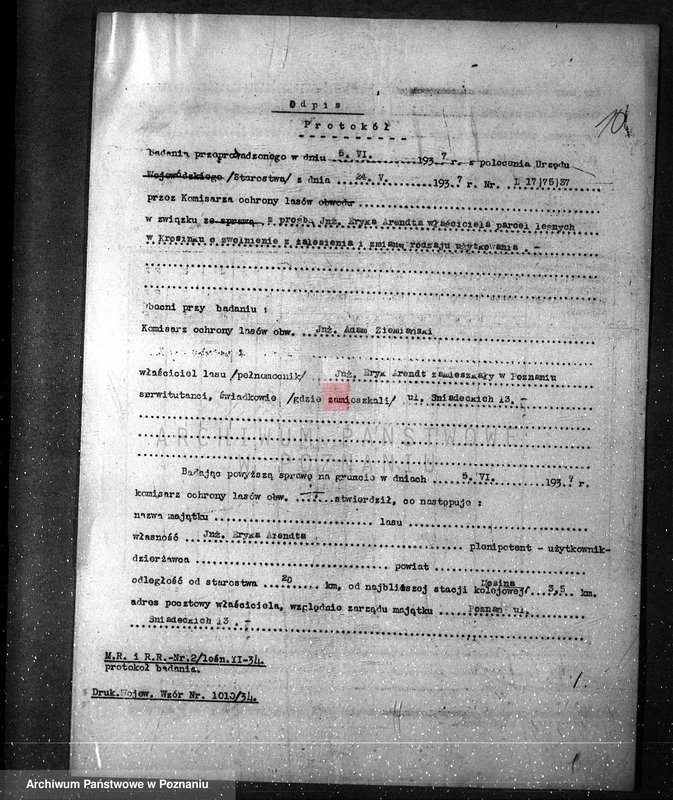 Obraz 14 z jednostki "/Zalesienie gruntów ornych/"