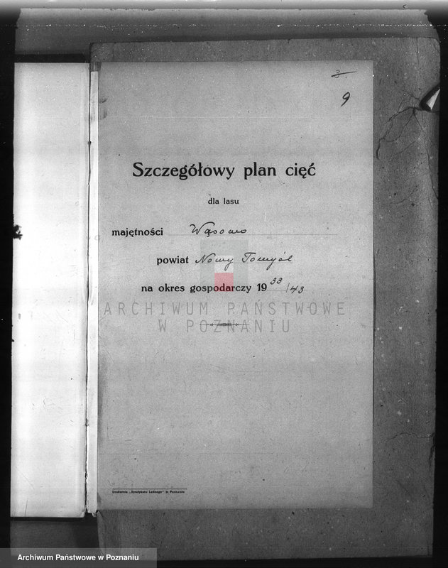 Obraz 13 z jednostki "Plan urządzenia gospodarstwa leśnego dla lasu majętności Wąsowo w powiecie nowotomyskim 1933-1943"