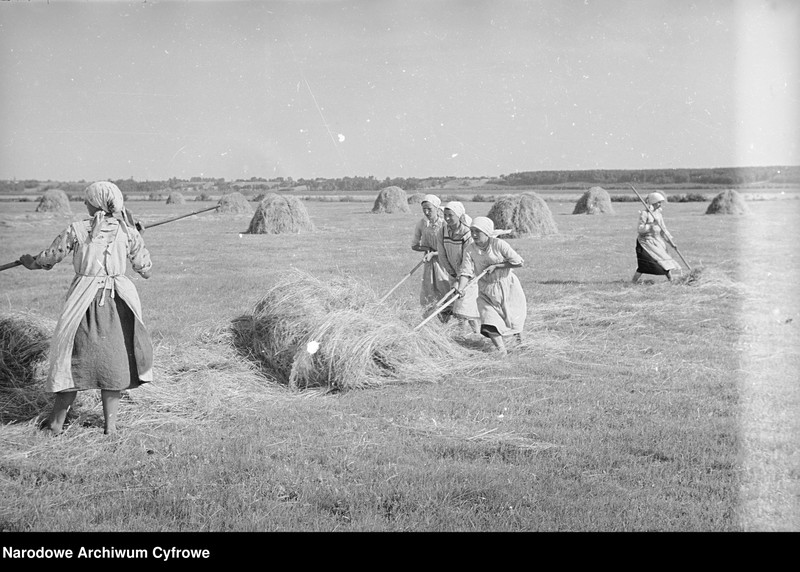 image.from.unit.number "Rolnictwo. Łąki, sianokosy"