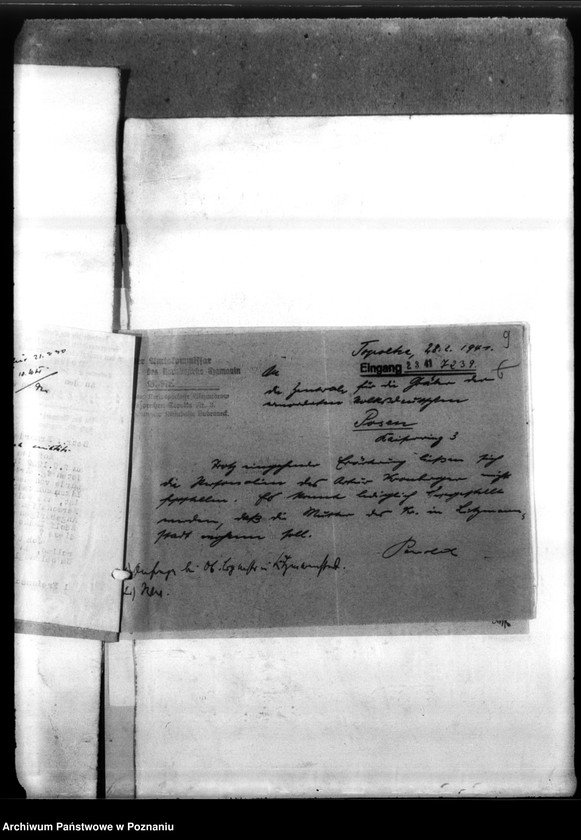 Obraz 13 z jednostki "Arthur Kronberger aus Piaski, Kreis Leslau (Włocławek)"