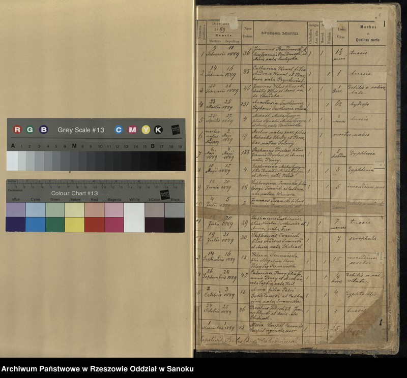 image.from.unit "Księga zgonów dla miejscowości Stefkowa"