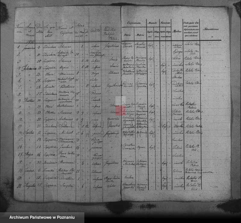 image.from.unit.number "Liber mortuorum"