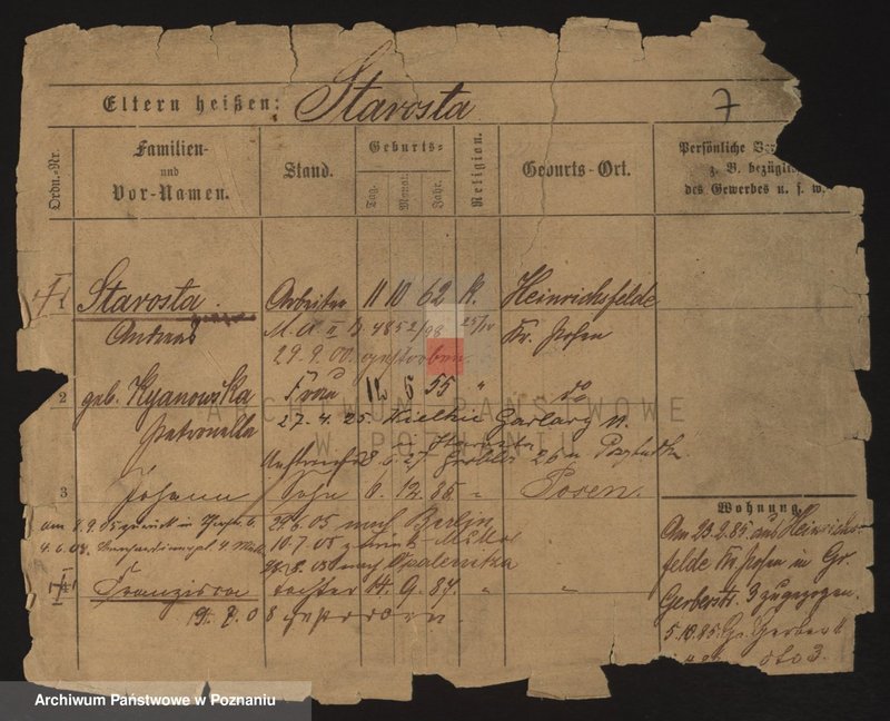 Obraz 16 z jednostki "Starosta - Stasinski"