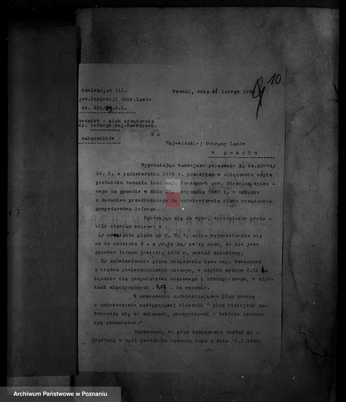 Obraz 15 z jednostki "/Majętność leśna Rzeszynek powiat mogileński"