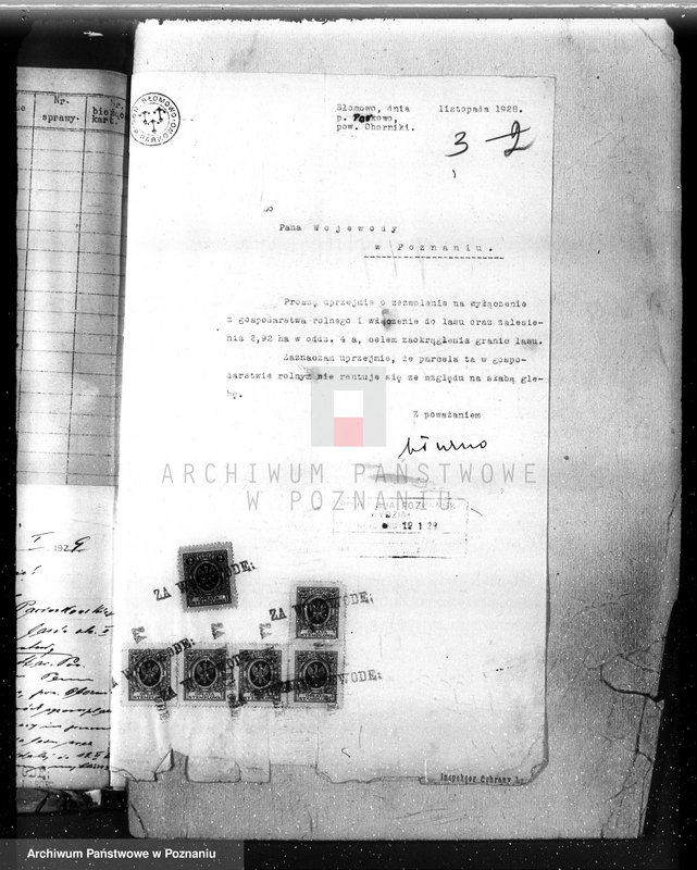 Obraz 7 z jednostki "Las majętność Słomowo-Pacholewo powiat obornicki"