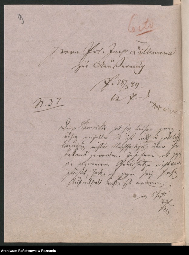 Obraz 13 z jednostki "A. betr. Martin Kamocki, Ordensgeistlicher"