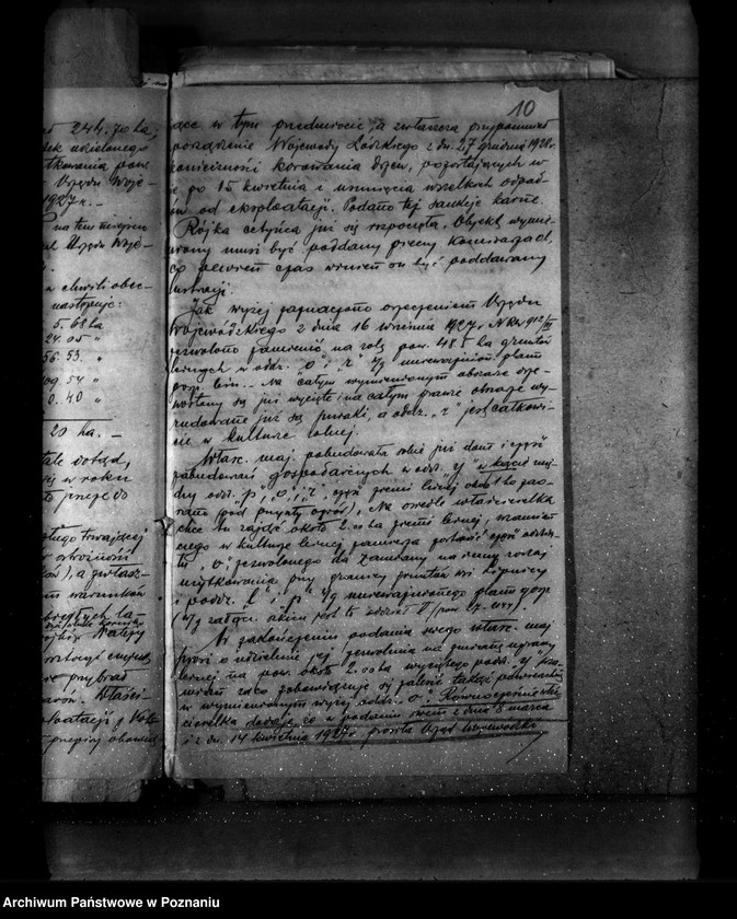 Obraz 14 z jednostki "Las majątku Napoleonów nr 1 własność Eweliny Wisłockiej powiat turecki"