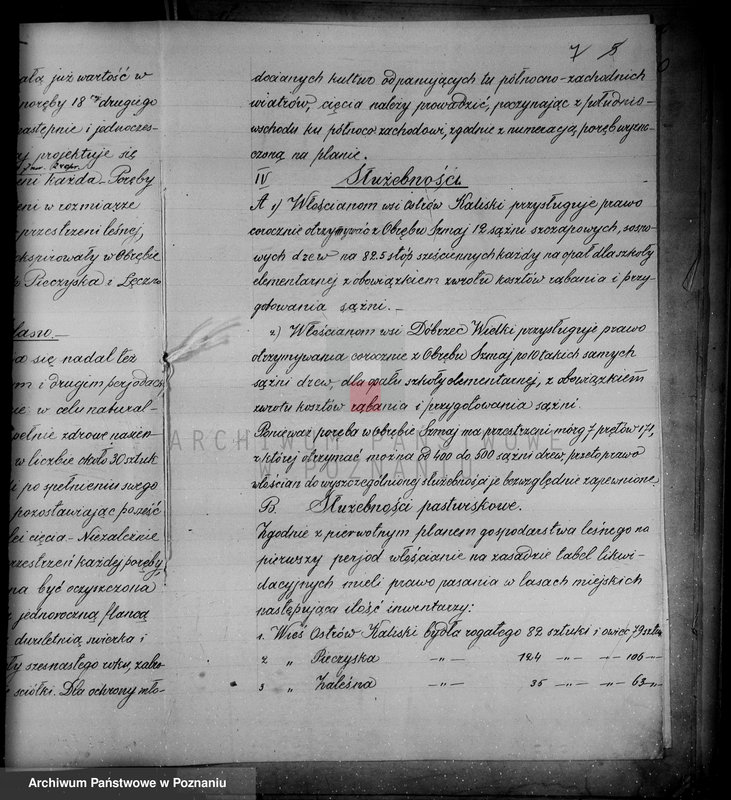 Obraz 10 z jednostki "/Las miasta Kalisza nadzór nad gospodarką/"