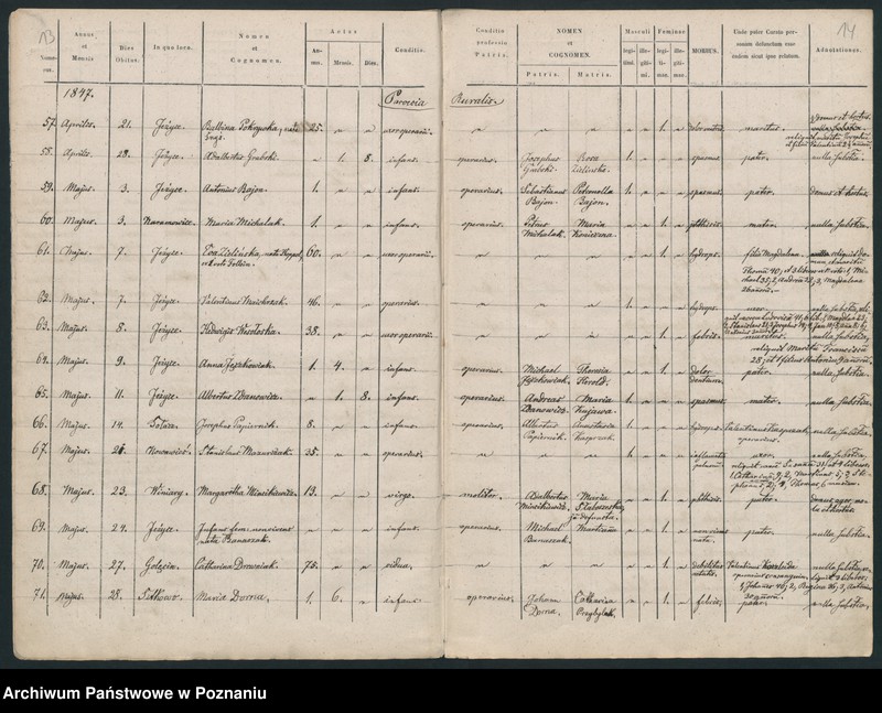 Obraz 9 z jednostki "Księga zgonów"