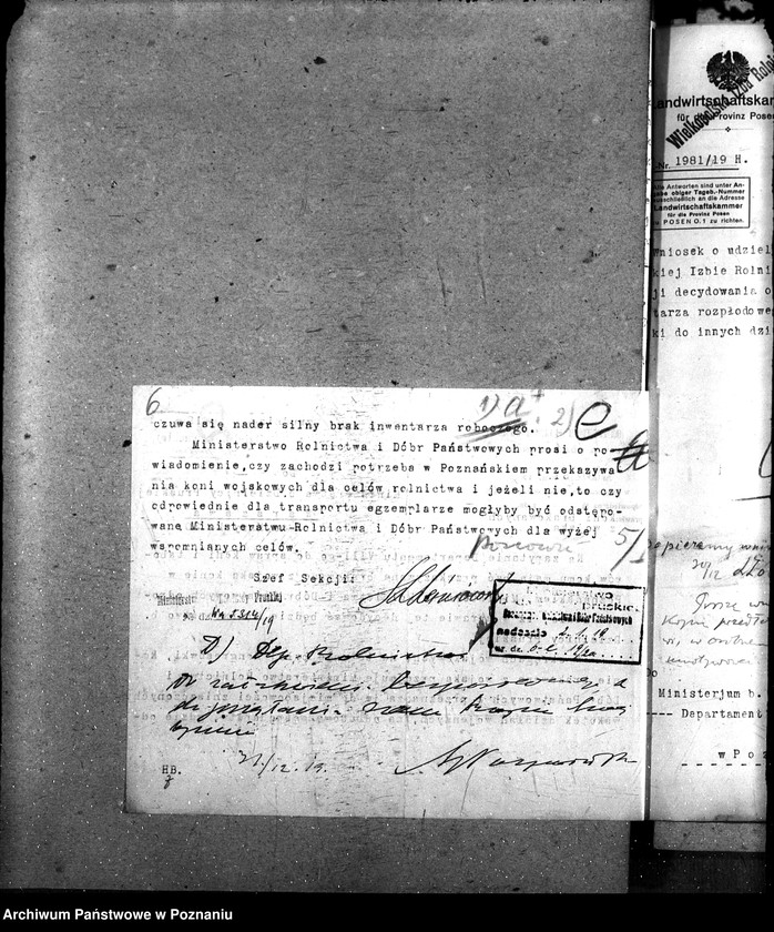 Obraz 11 z jednostki "Wywóz koni"