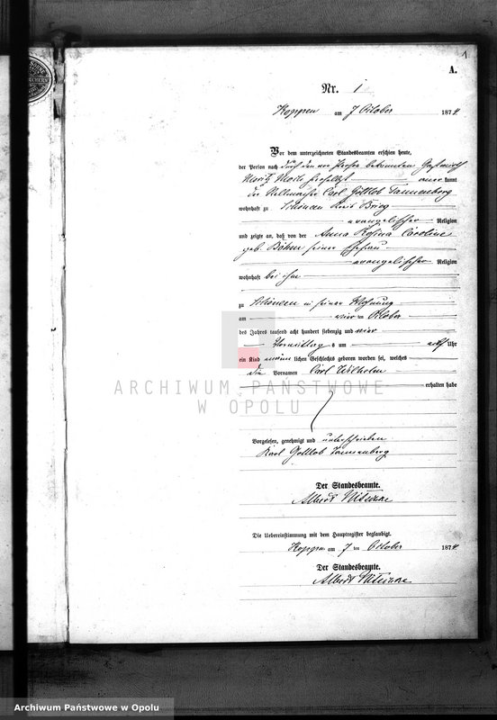 Obraz z jednostki "Geburts-Neben-Register des Standes Amtes Koppen pro IV-tes Quartal 1874"